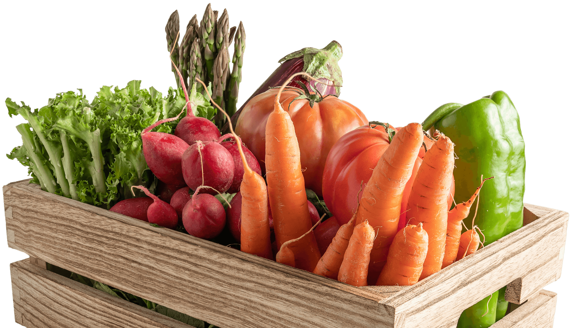 Imagen de la Fundación Pablo Landsmanas